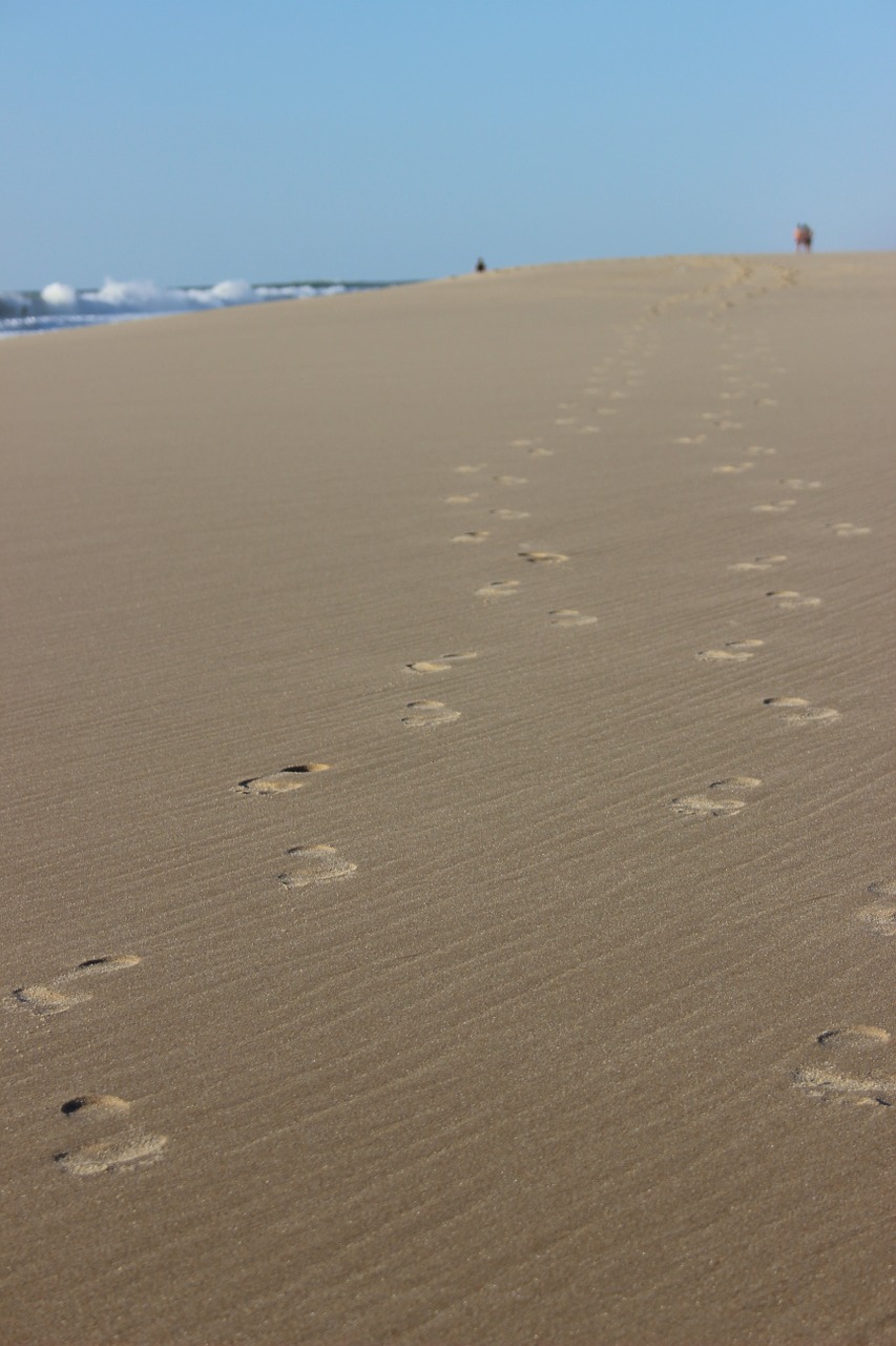 beach feet traces summer free photo