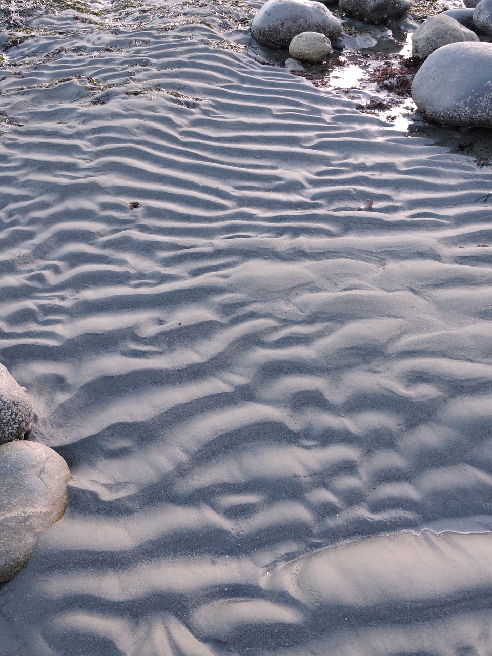 beach sand ripples free photo