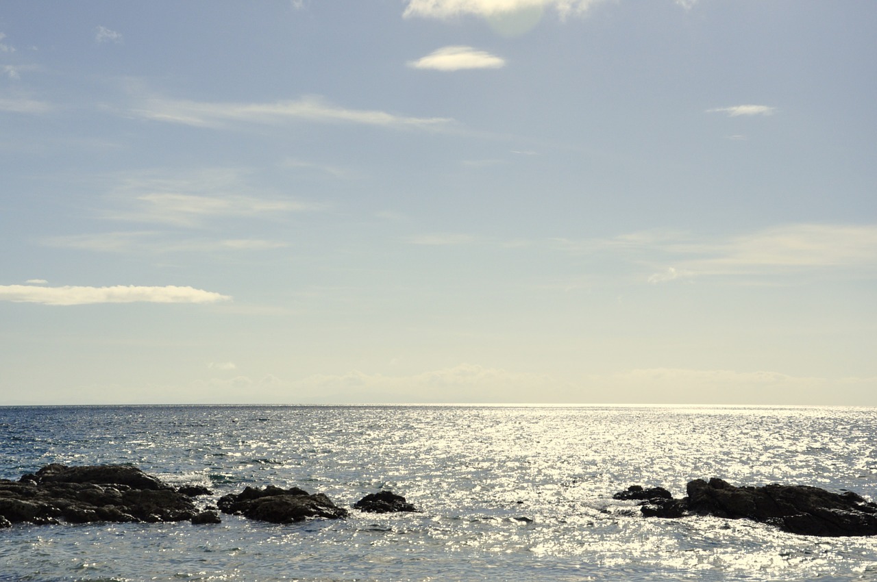 beach sea sunset free photo