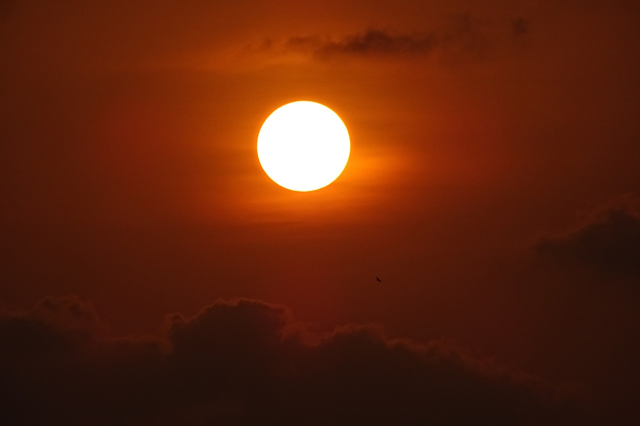 beach sea sunset free photo