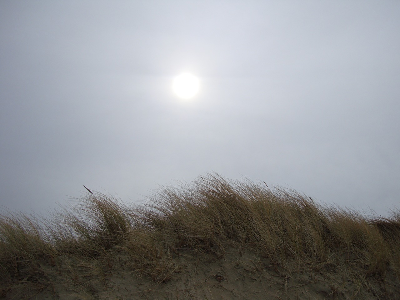 beach sun blue free photo