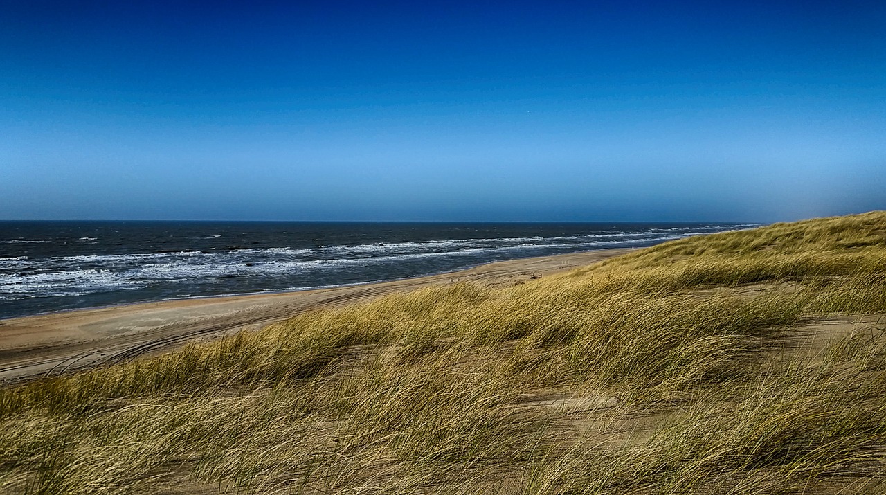beach holland hdr free photo