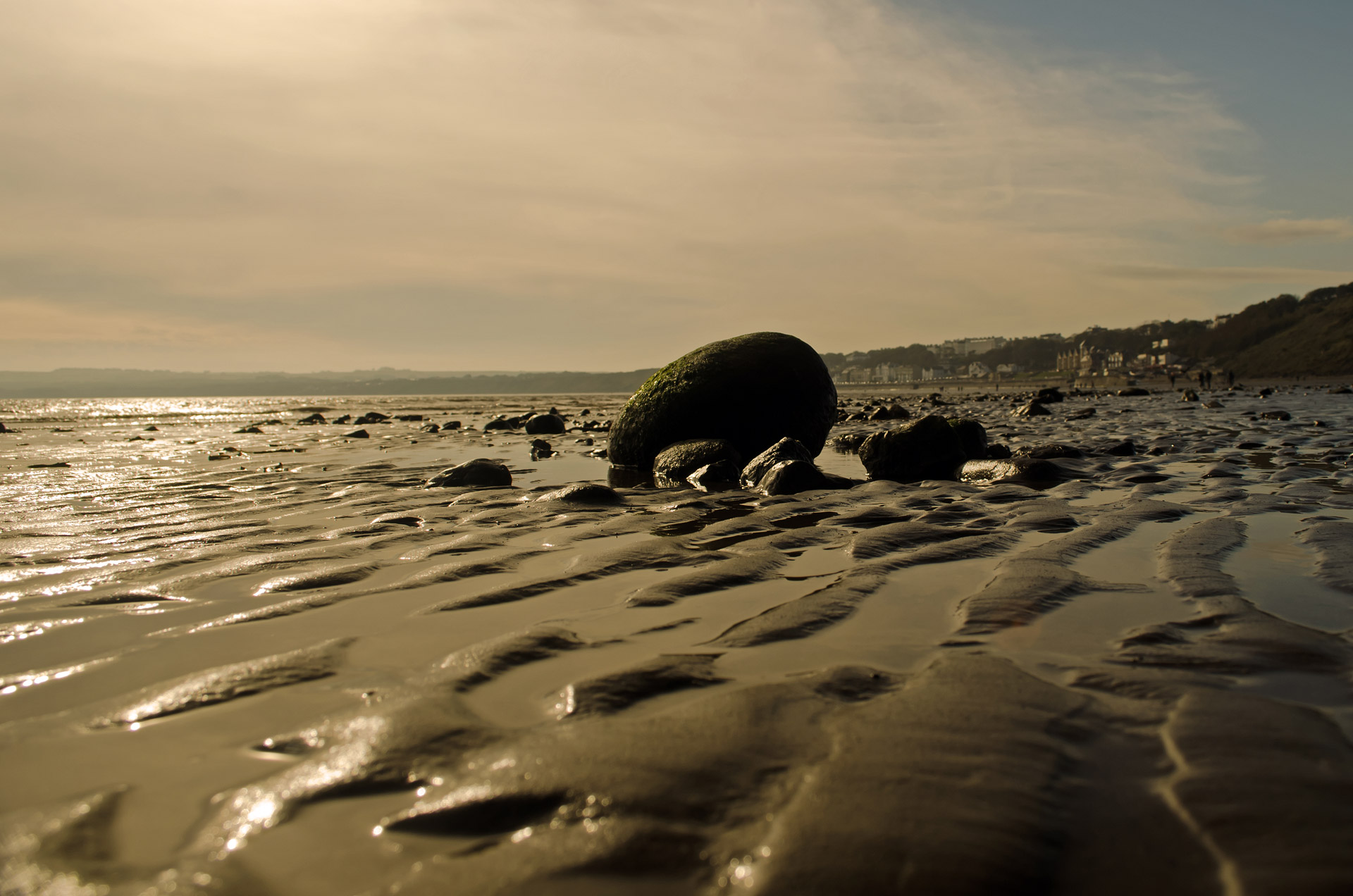 beach background sand free photo