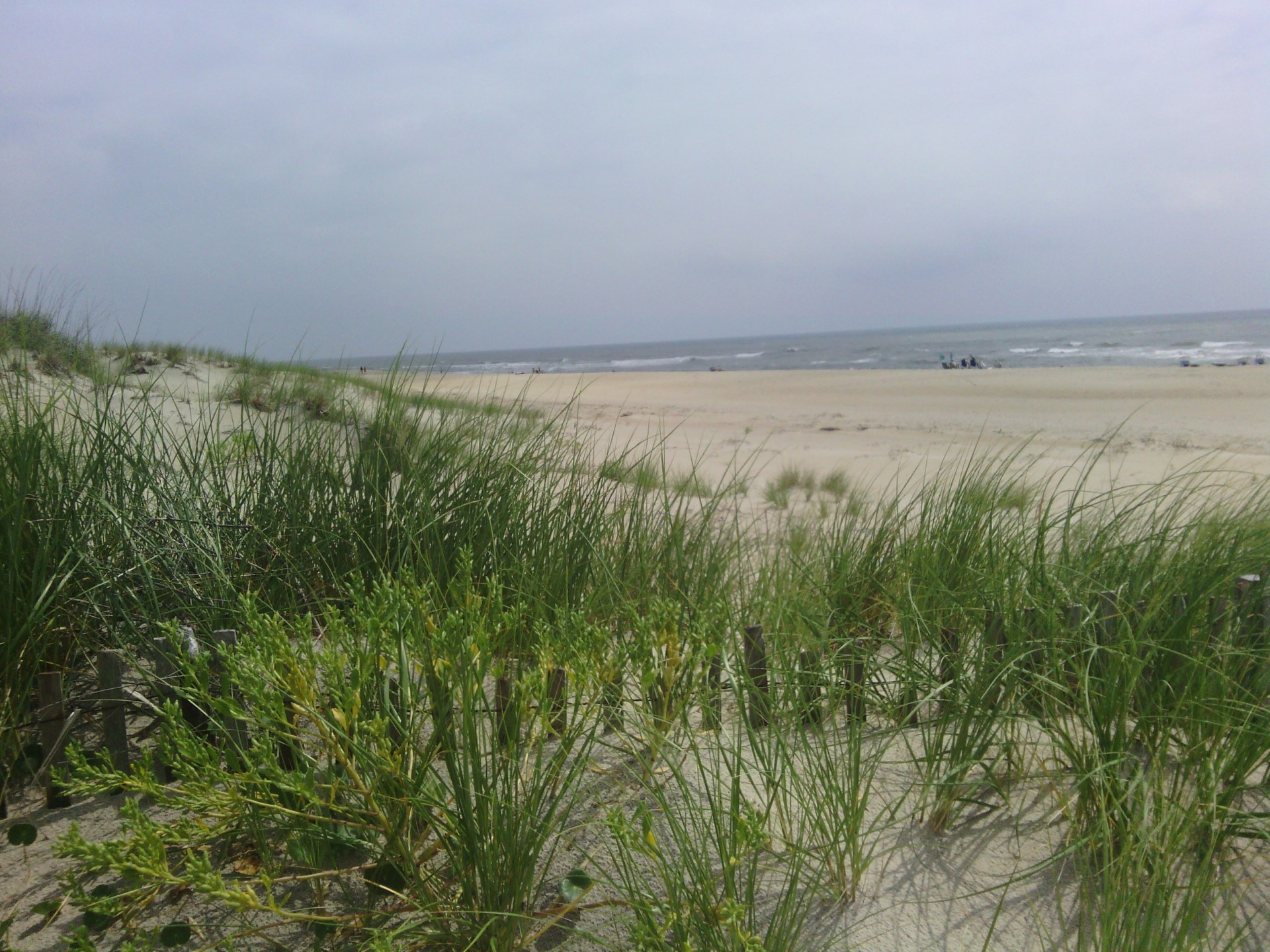 hatteras beach avon nc free photo