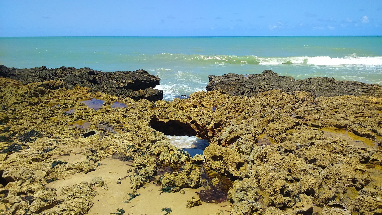 beach mar rocks free photo
