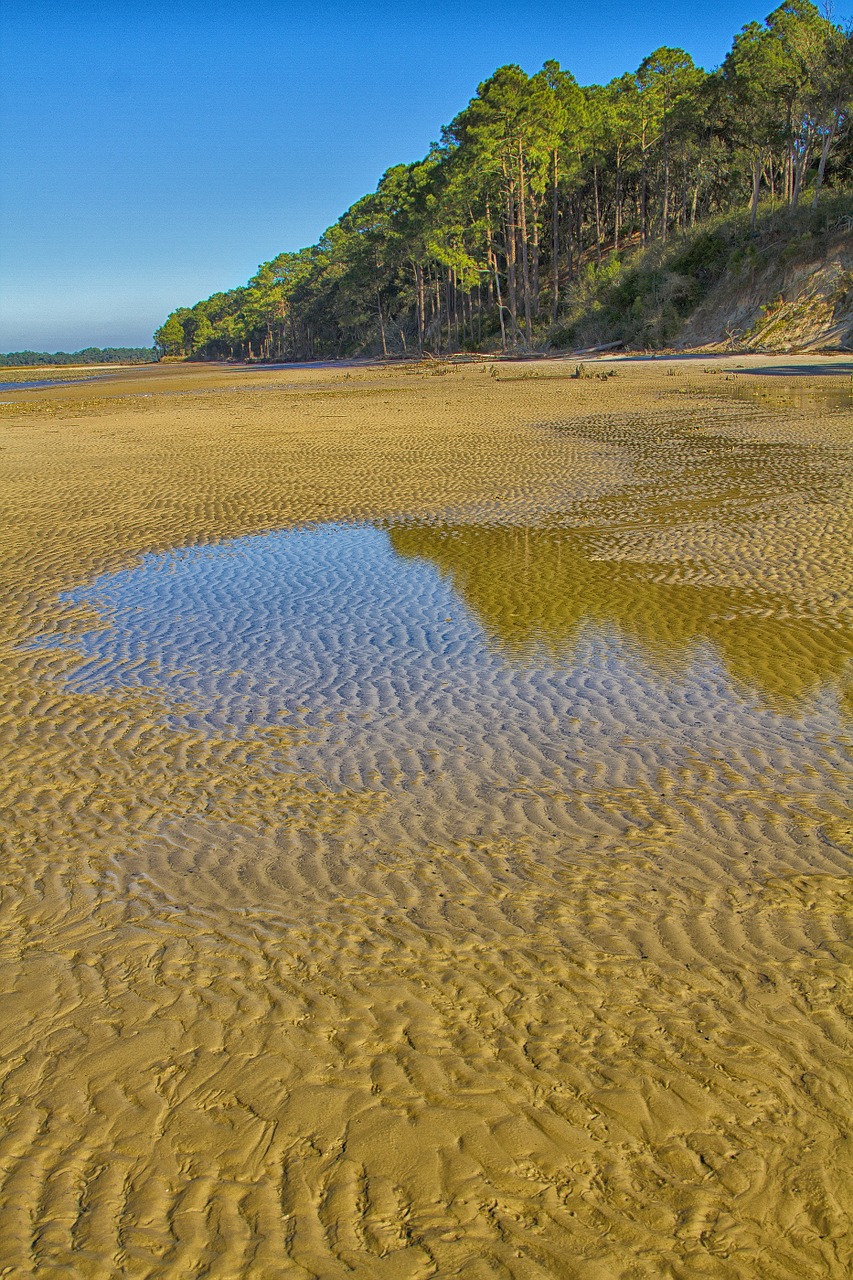 beach low tide sand free photo