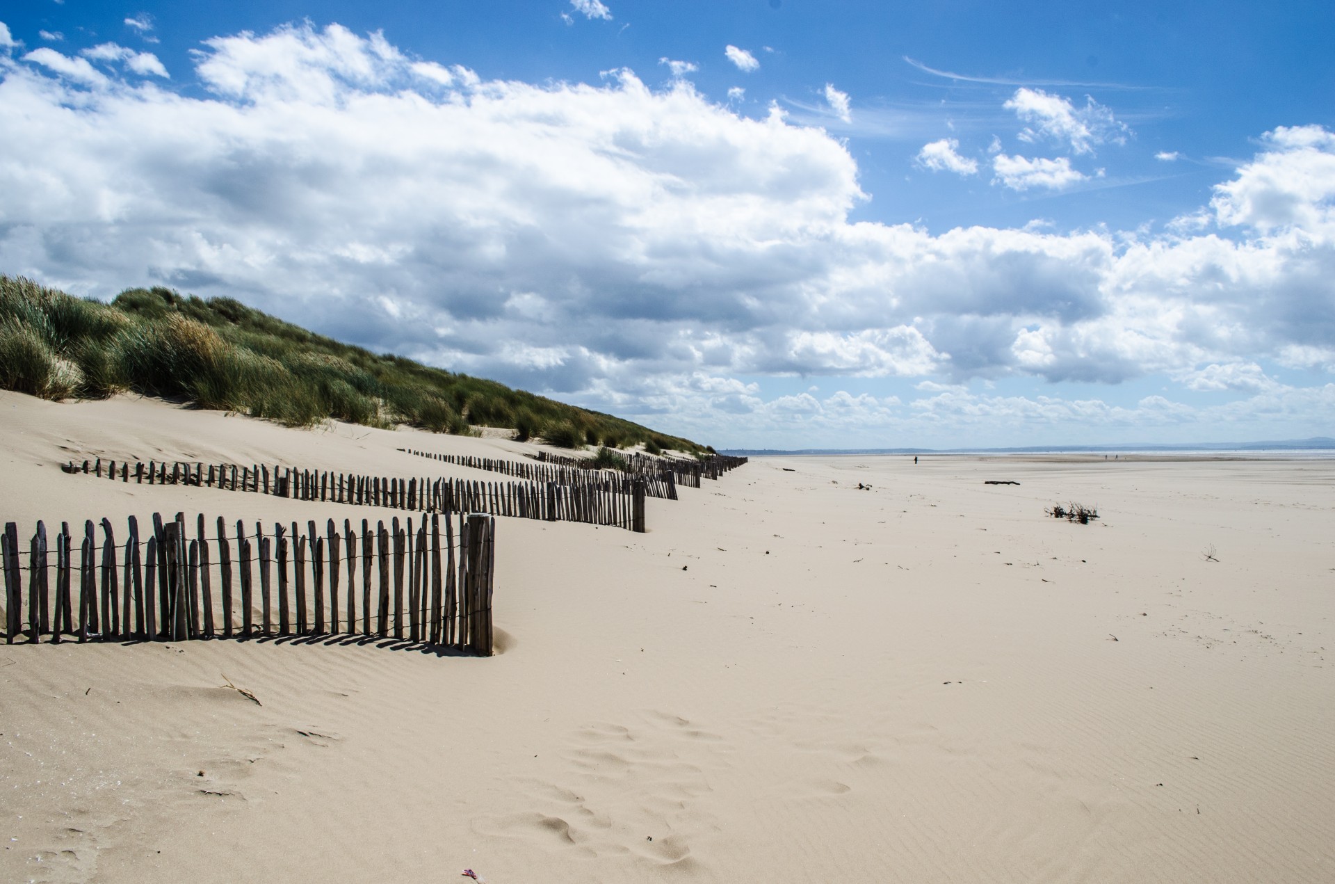 beach sand sea free photo