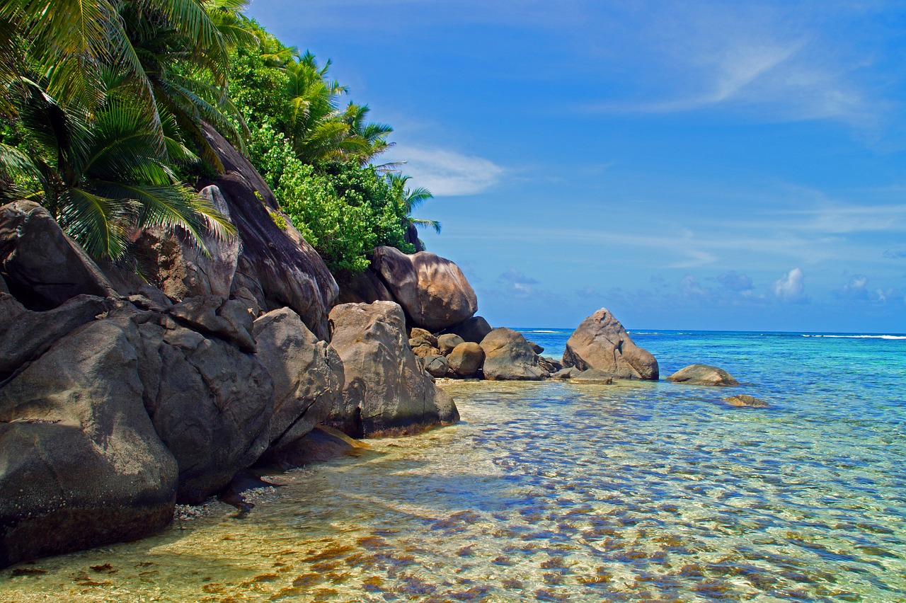 beach shore ocean free photo