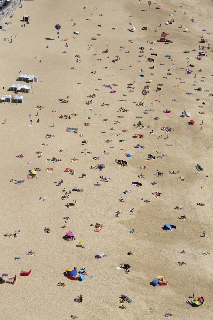 beach sand summer free photo