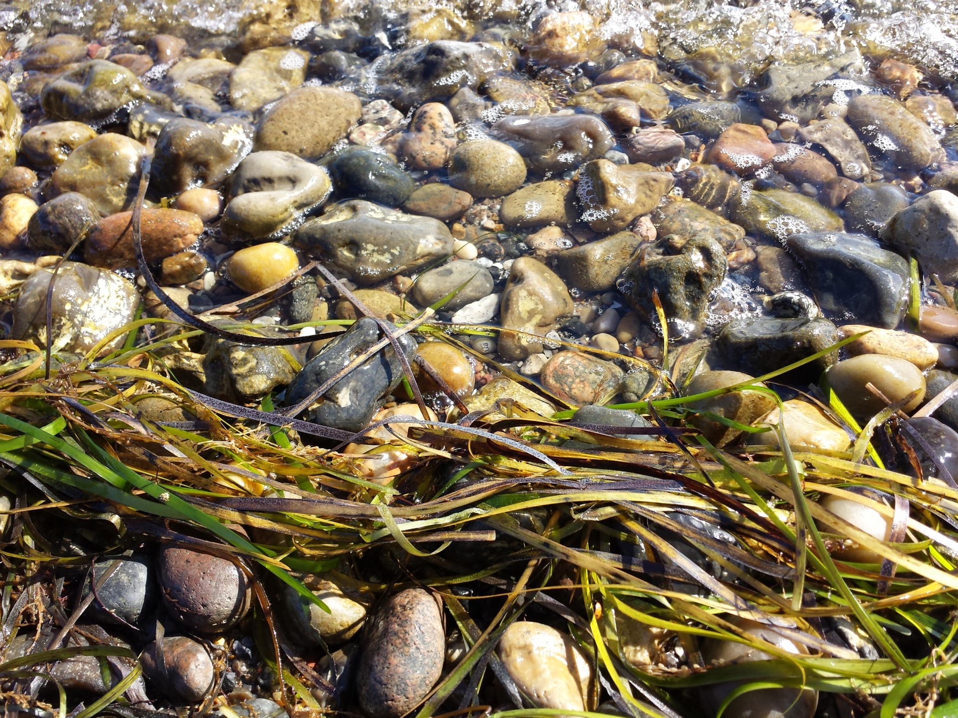 stones sand beach free photo