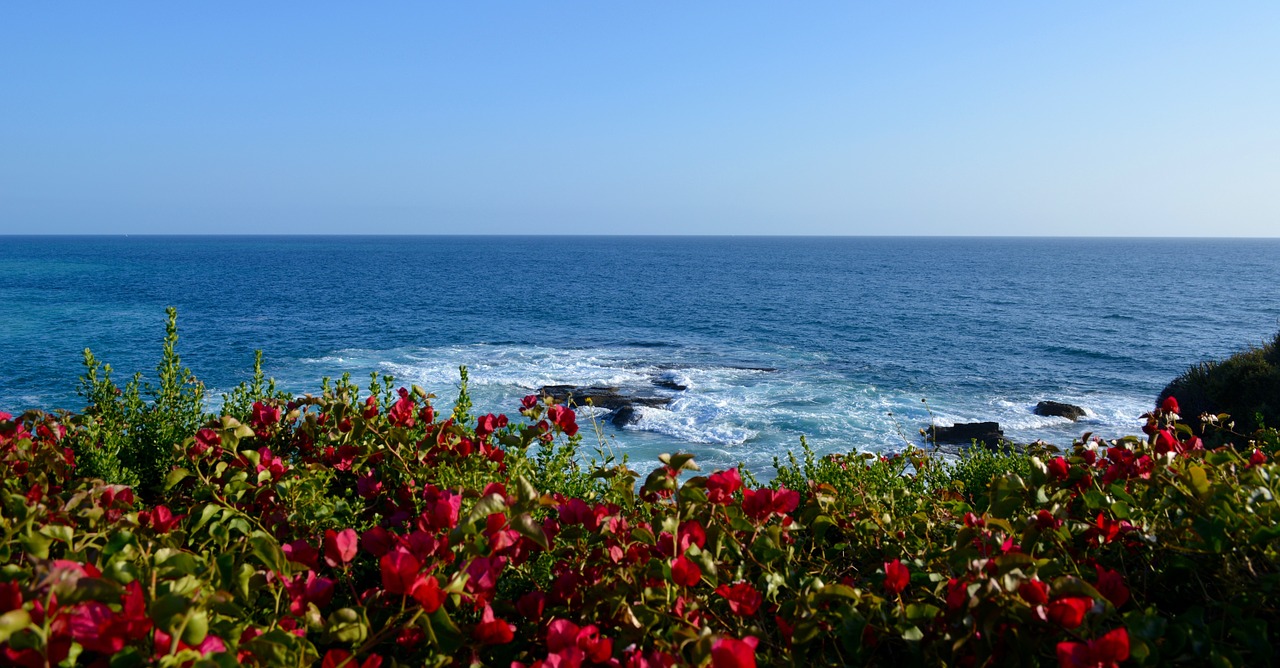 beach ocean sea free photo