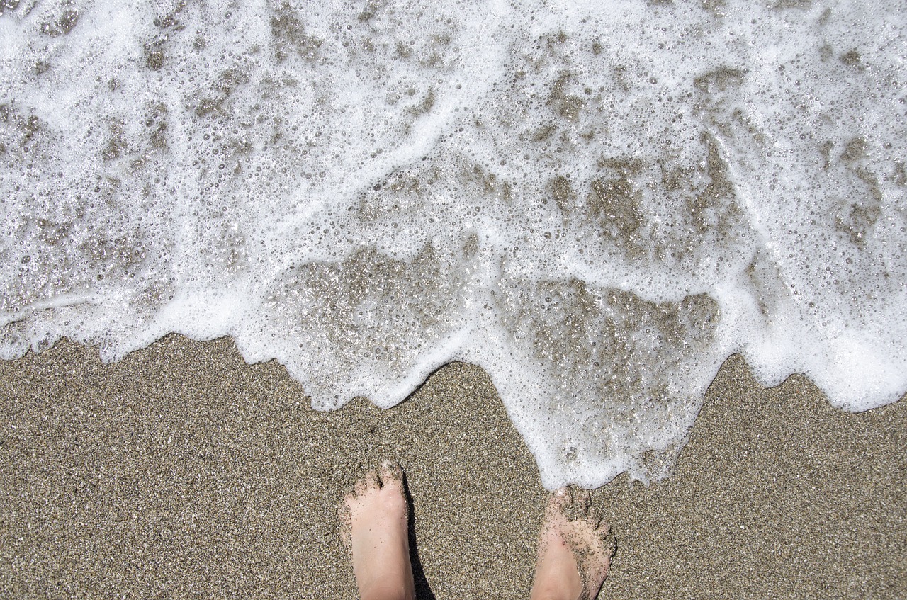 beach summer human free photo