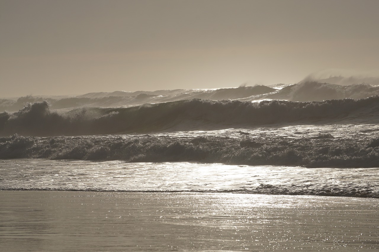 beach waves ocean free photo