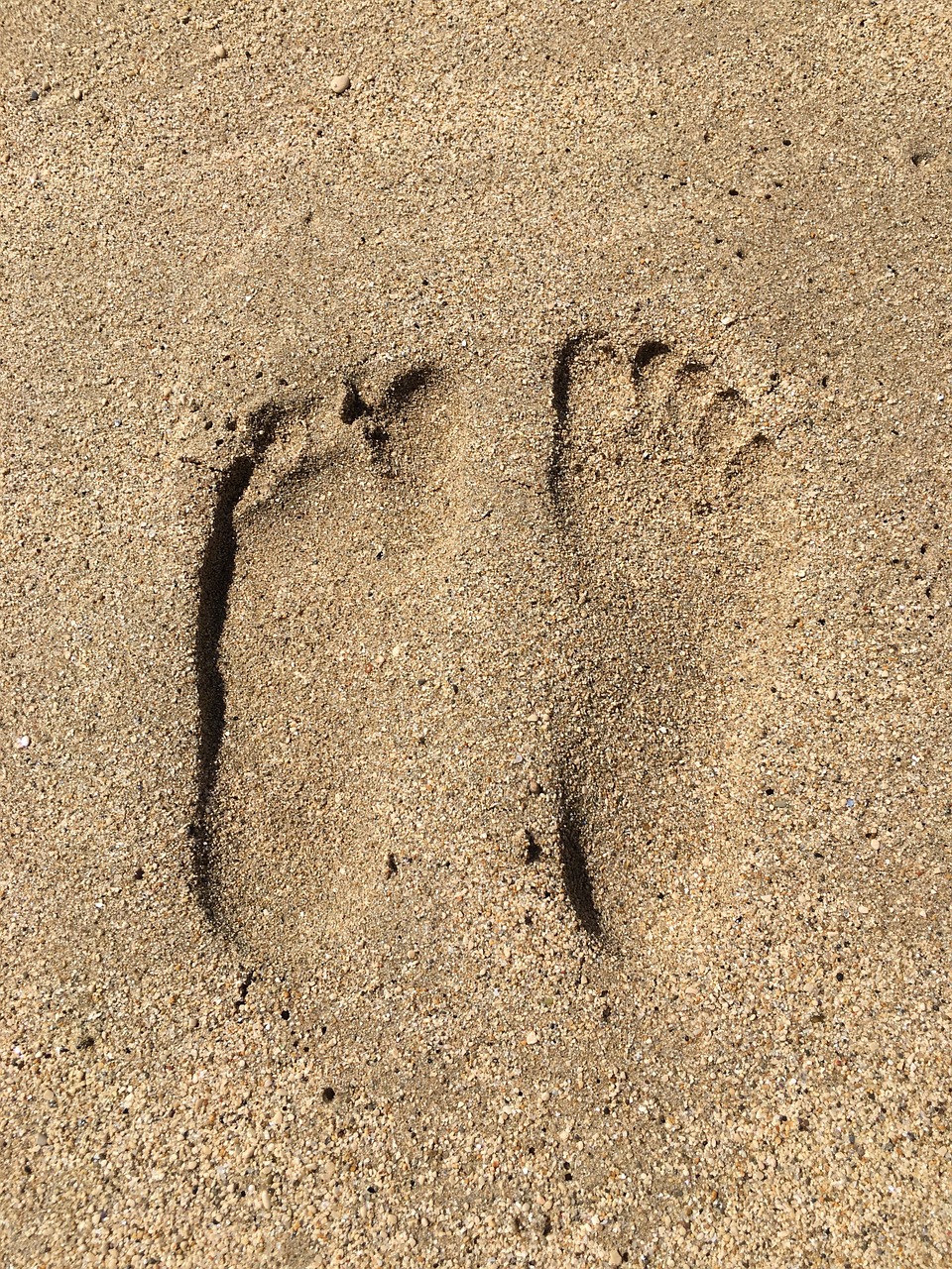 beach feet sand free photo