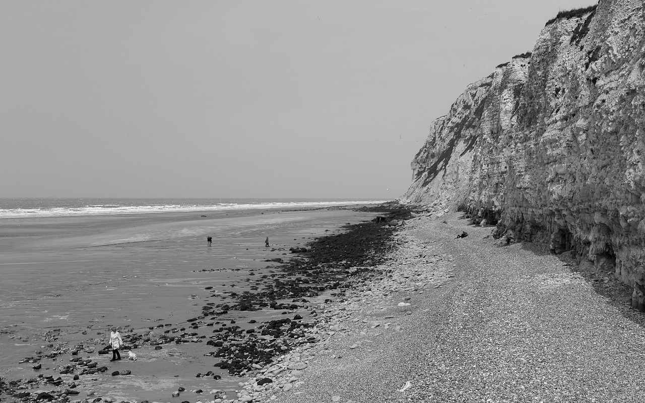 Beach,france,sea,ebb,coast - free image from needpix.com
