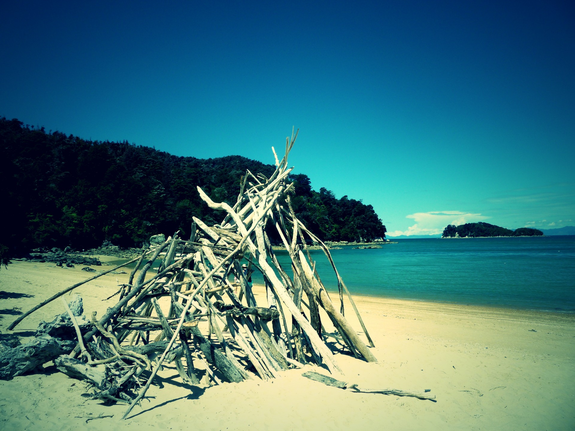 abel tasman beach nz free photo