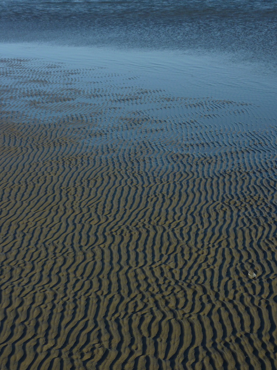 sea beach water beach free photo