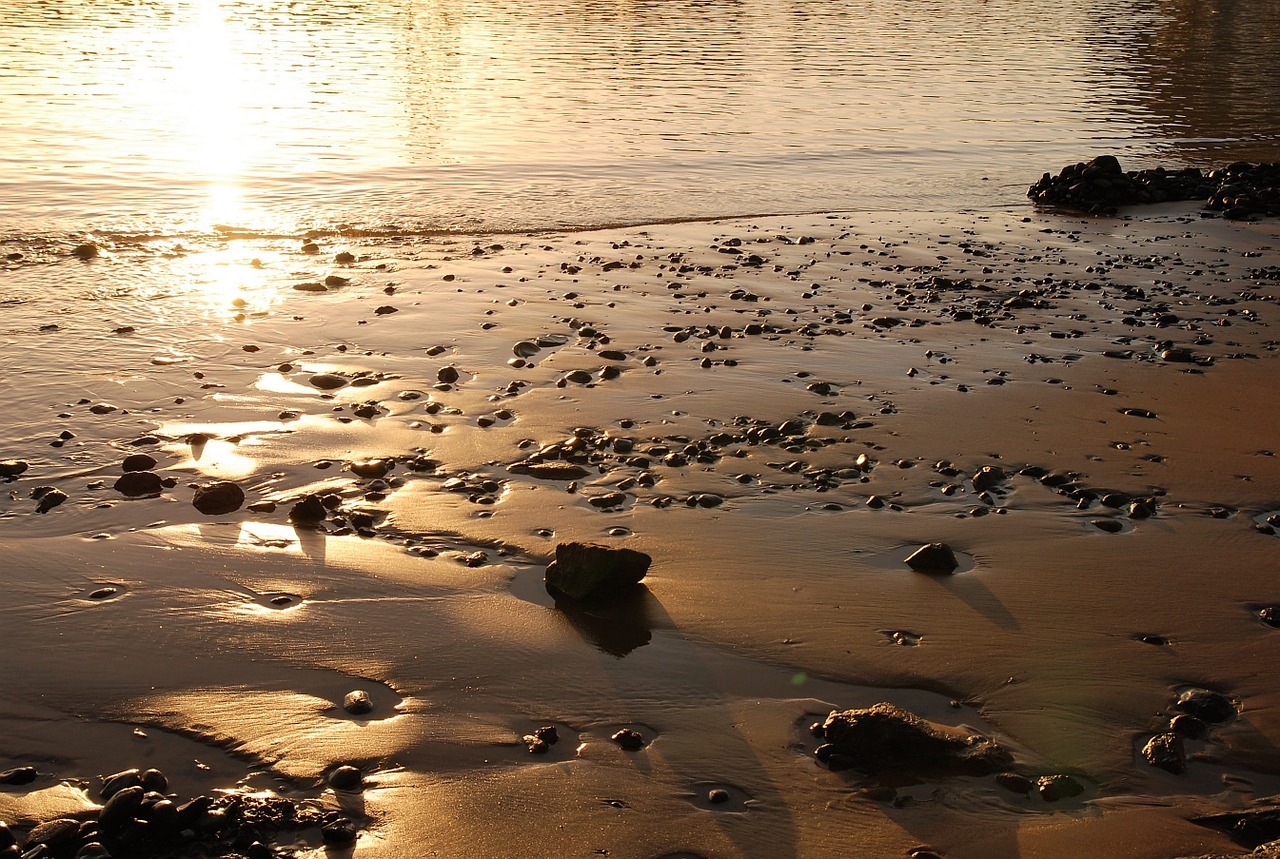 beach sunset sand free photo