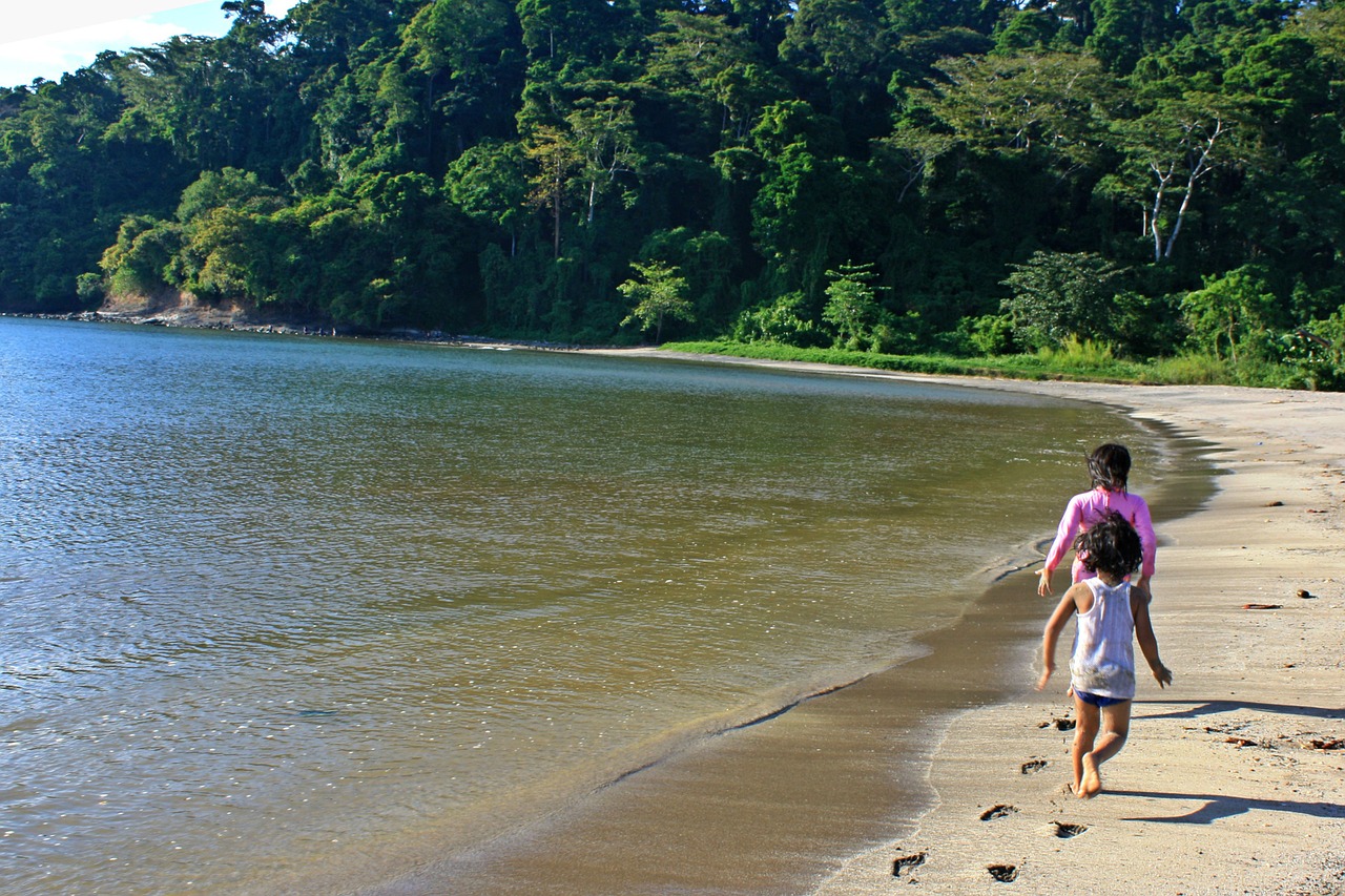 beach shore kids free photo