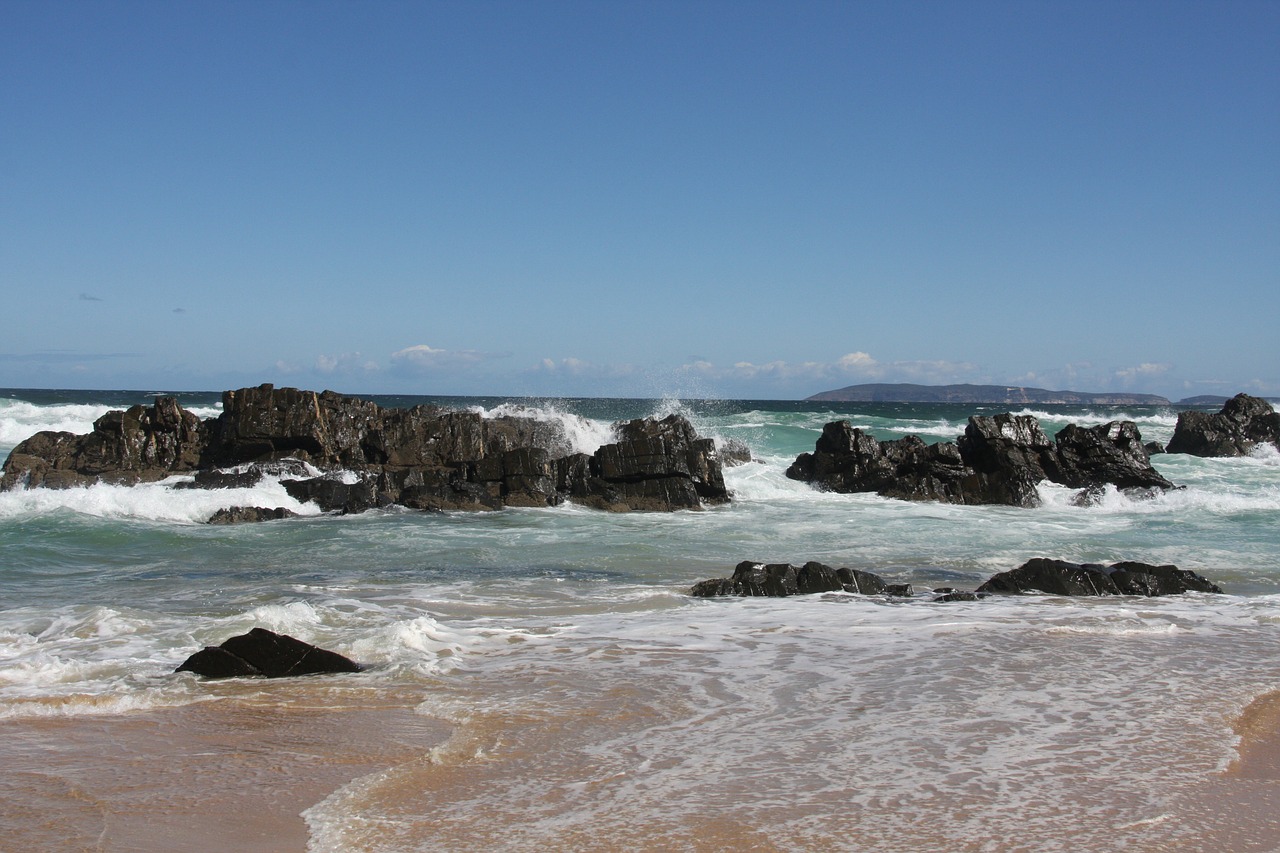 beach sea surf free photo