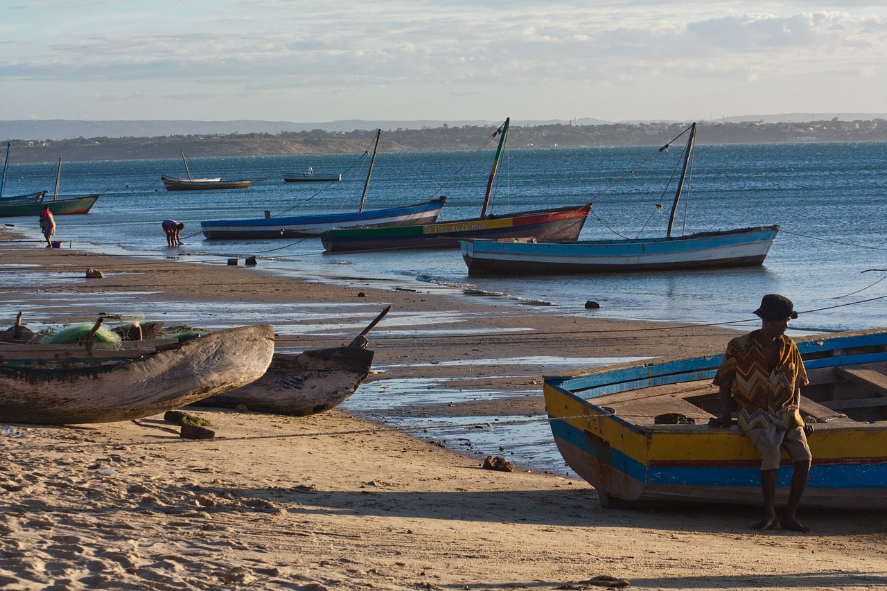 beach boats boat free photo