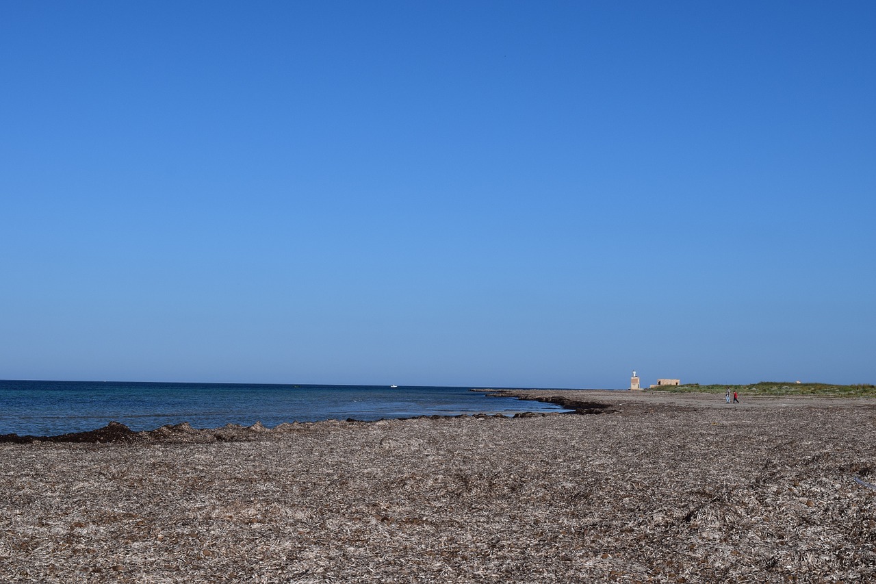 beach coast sea free photo