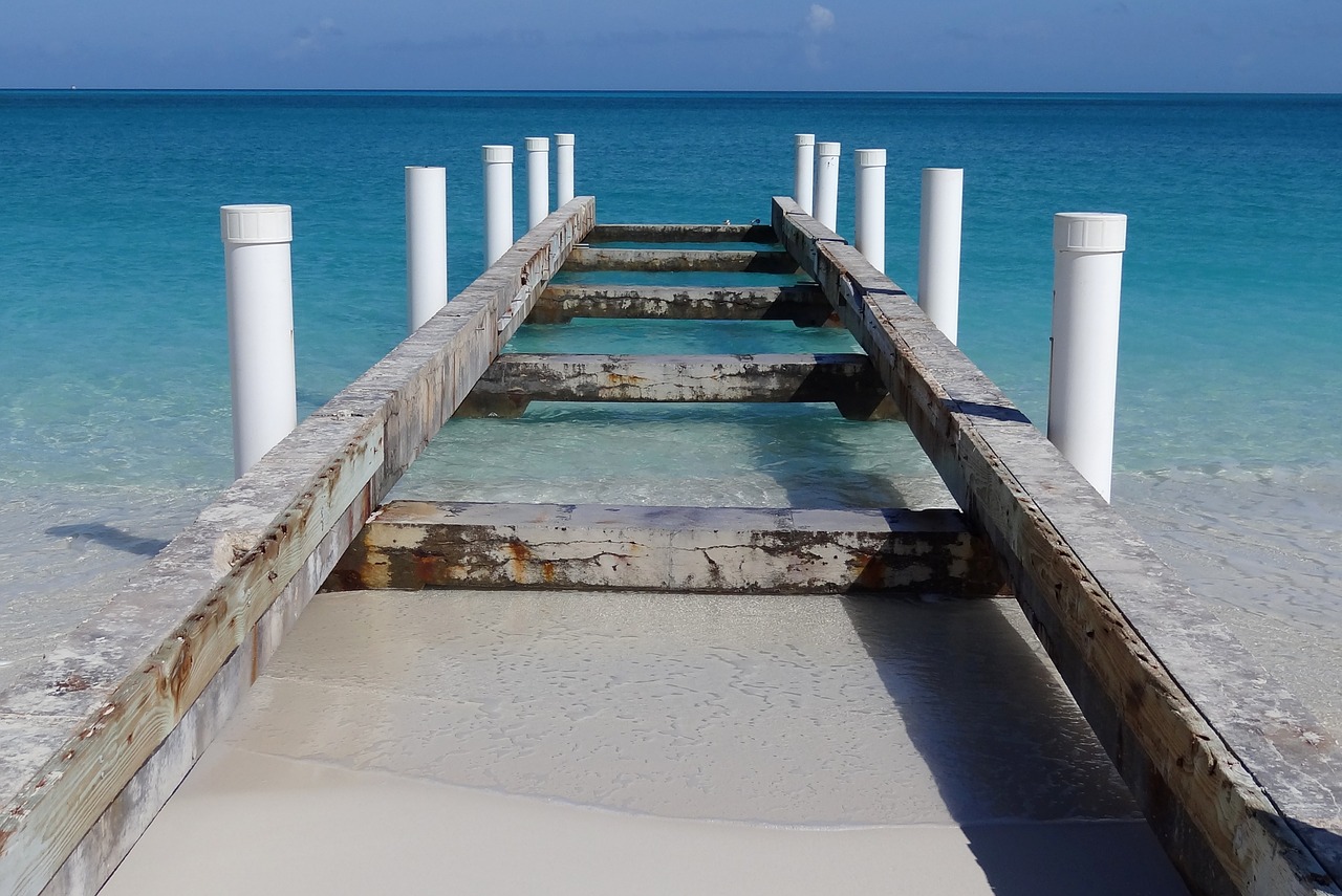 beach bridge salt water free photo