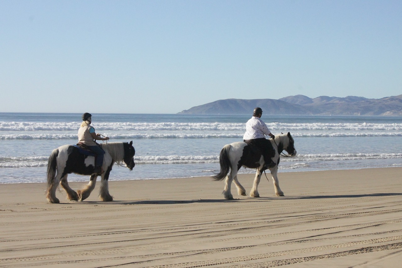 beach horses ocean free photo