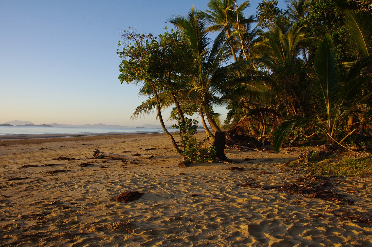 beach sand coast free photo