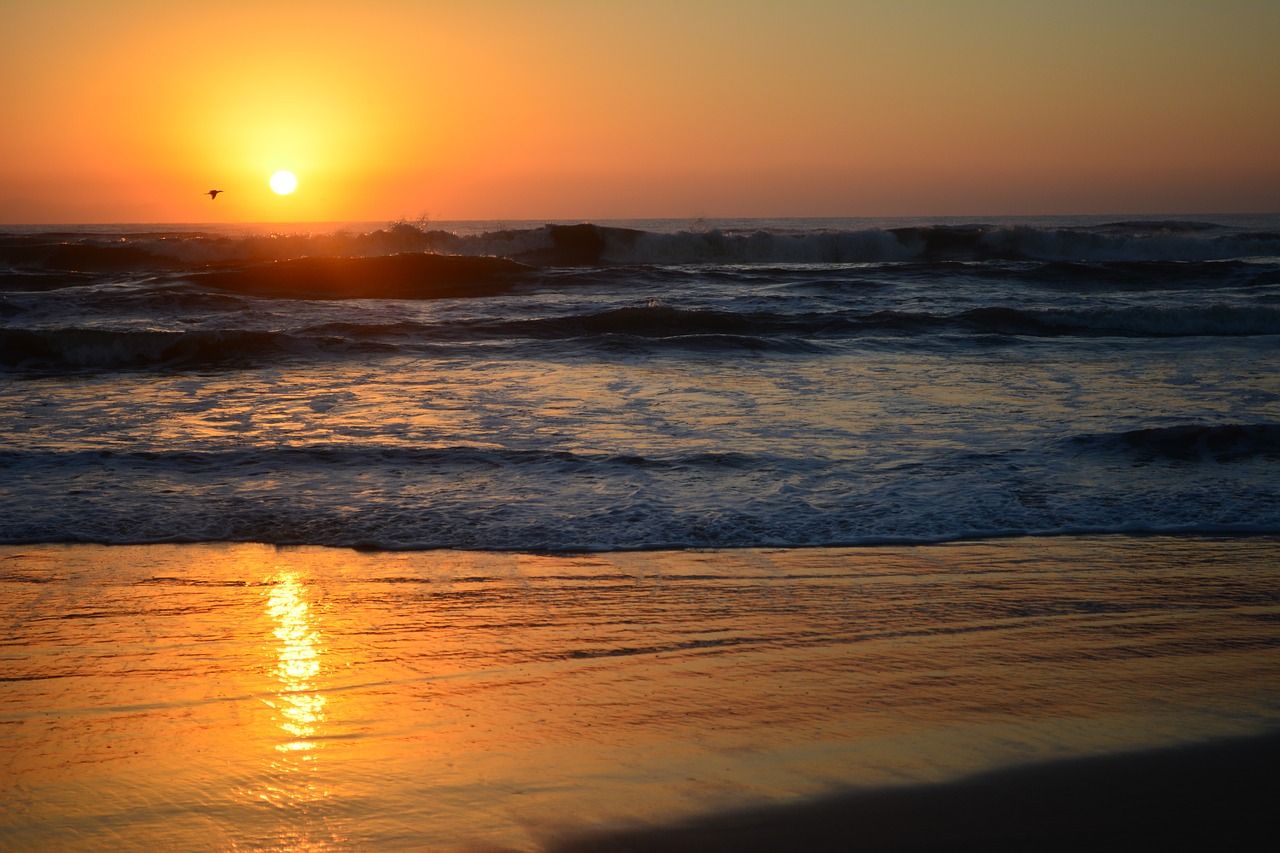 beach sol mar free photo