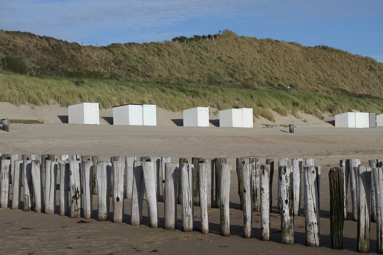 beach zeeland north sea free photo