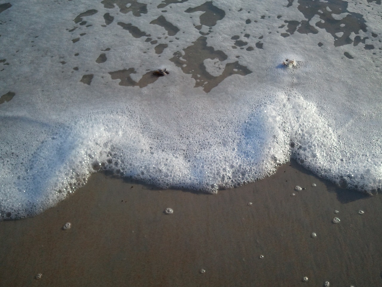 beach foam wave free photo