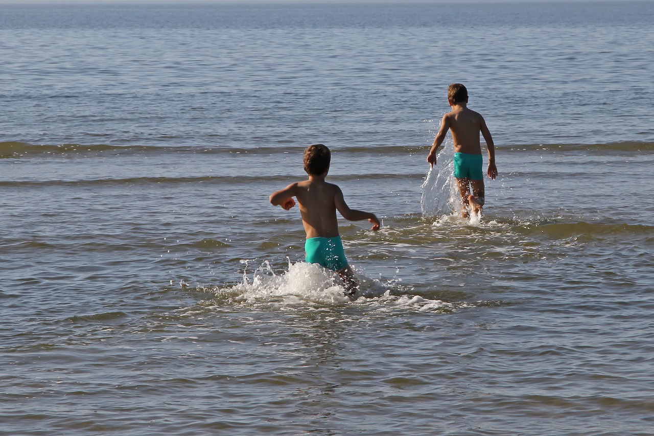 beach swim sea free photo