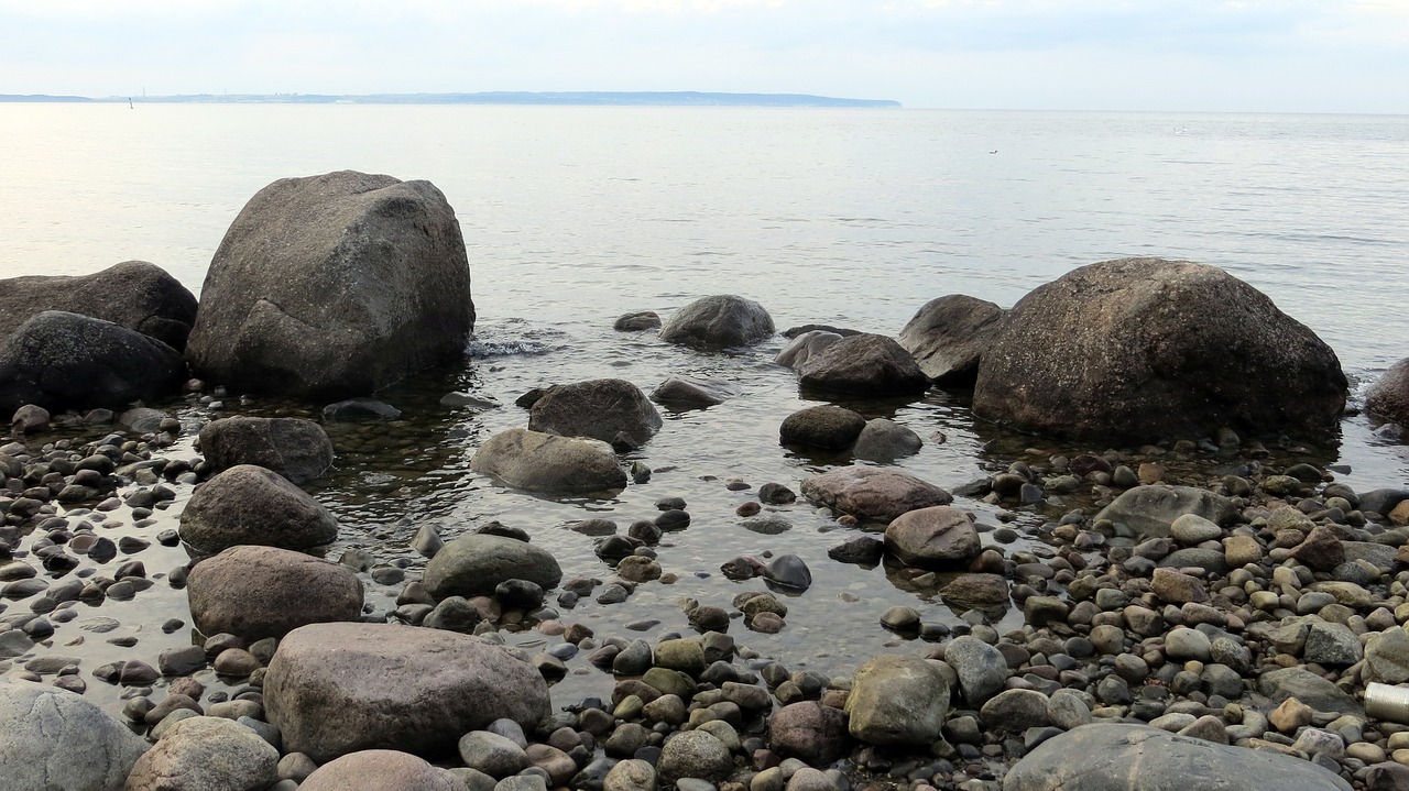 beach water mussels free photo