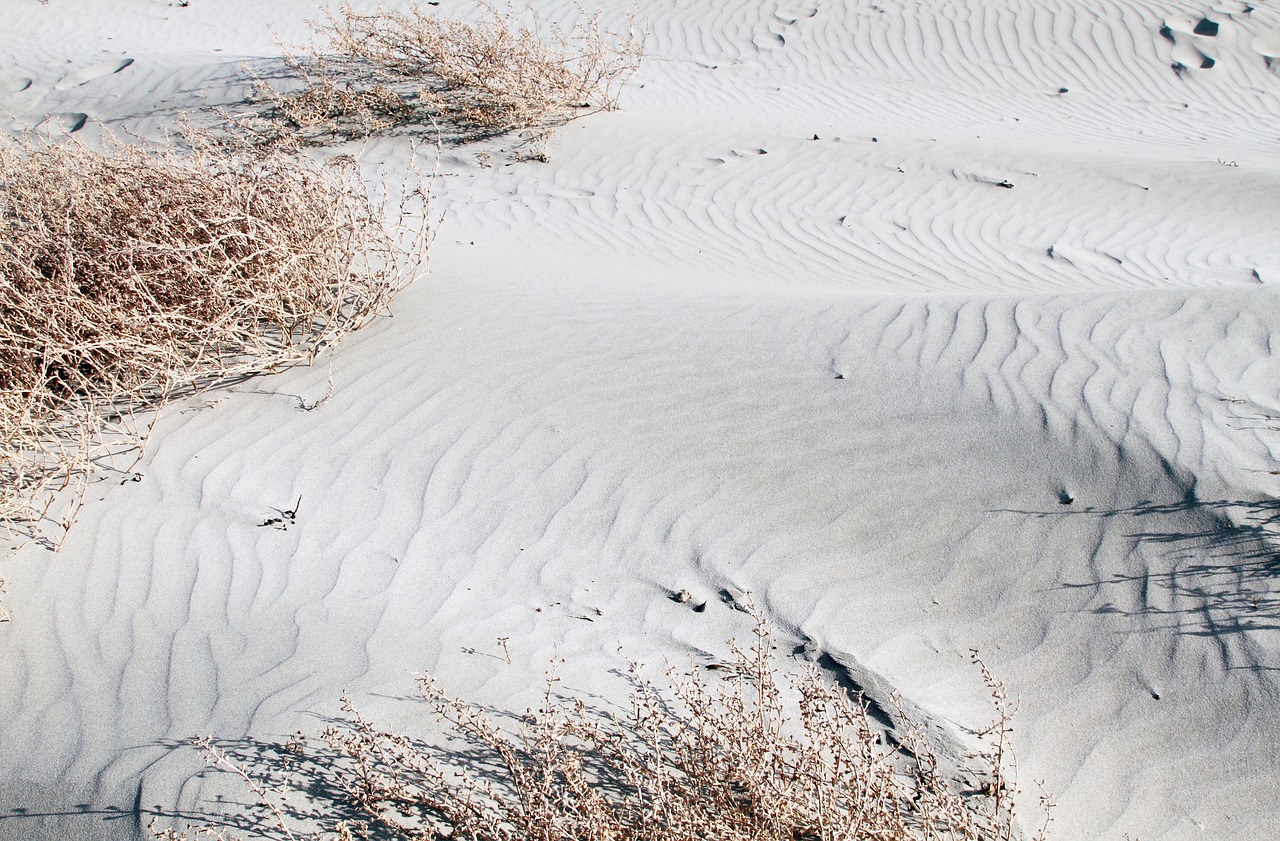 beach sand seascape free photo