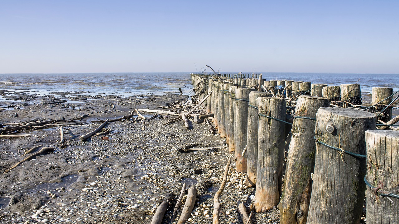 beach coast sea free photo