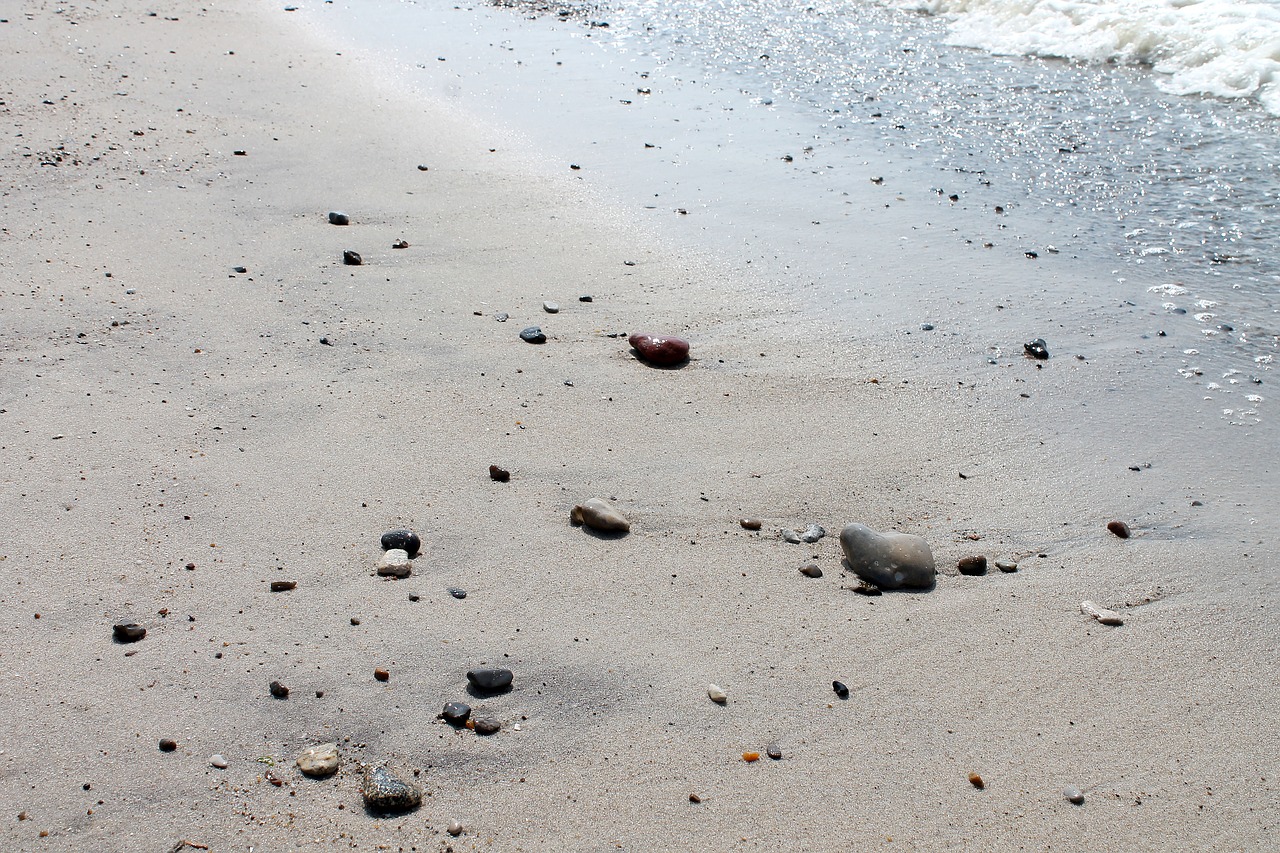 beach sand summer free photo