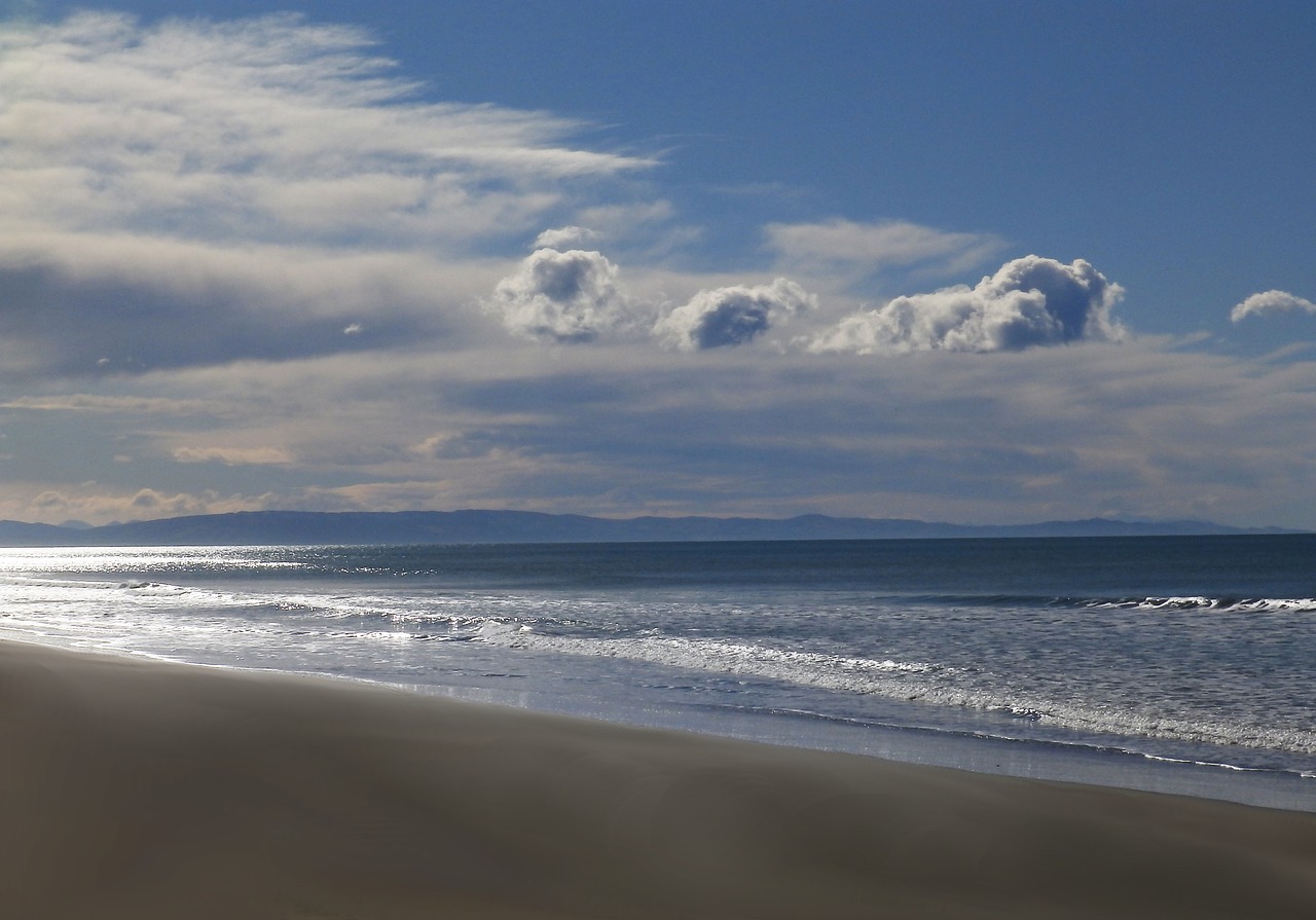 beach winter water free photo