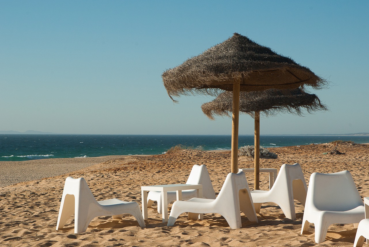 beach parasols beach chairs free photo