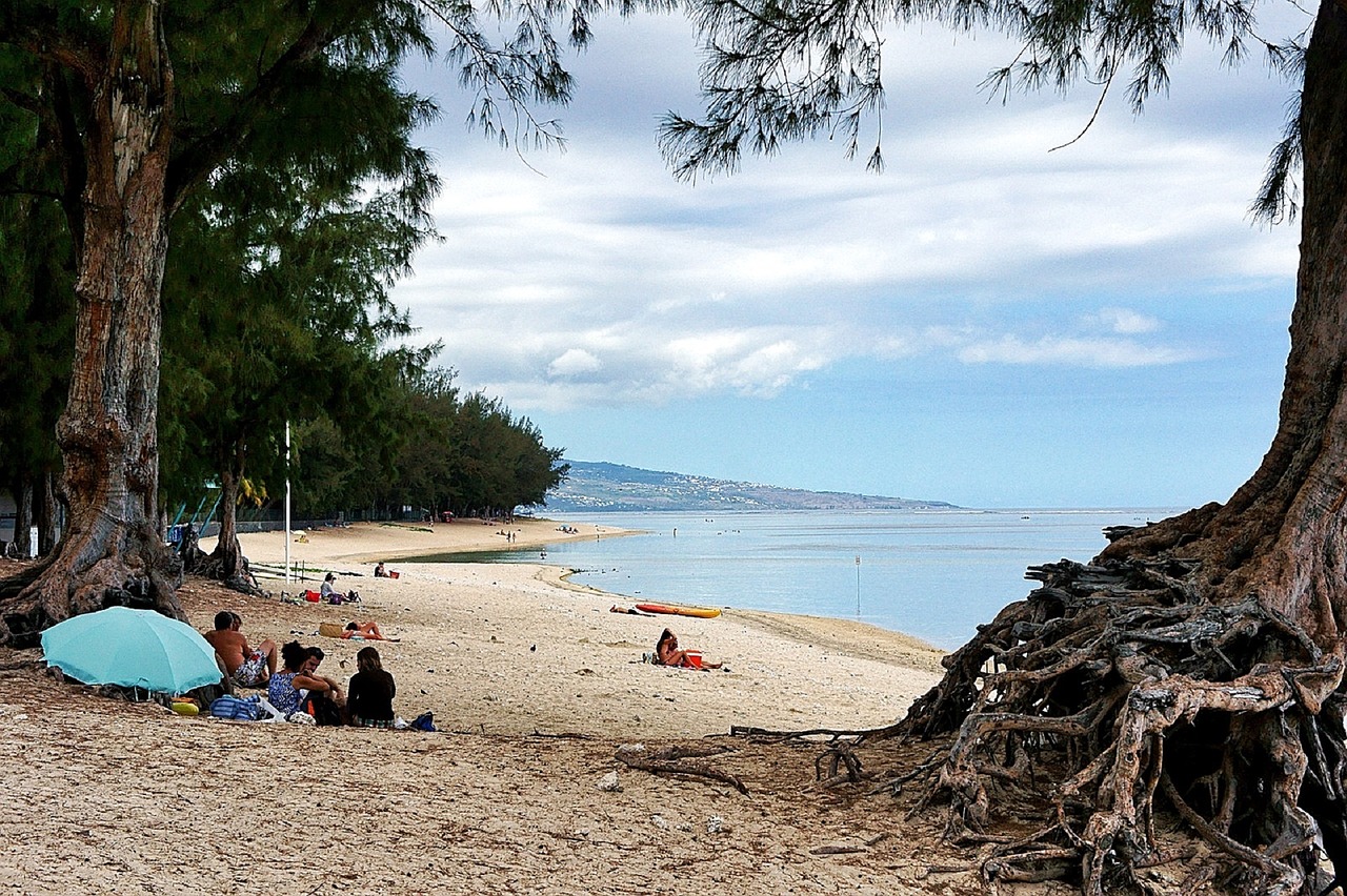 beach sand sunbathing free photo