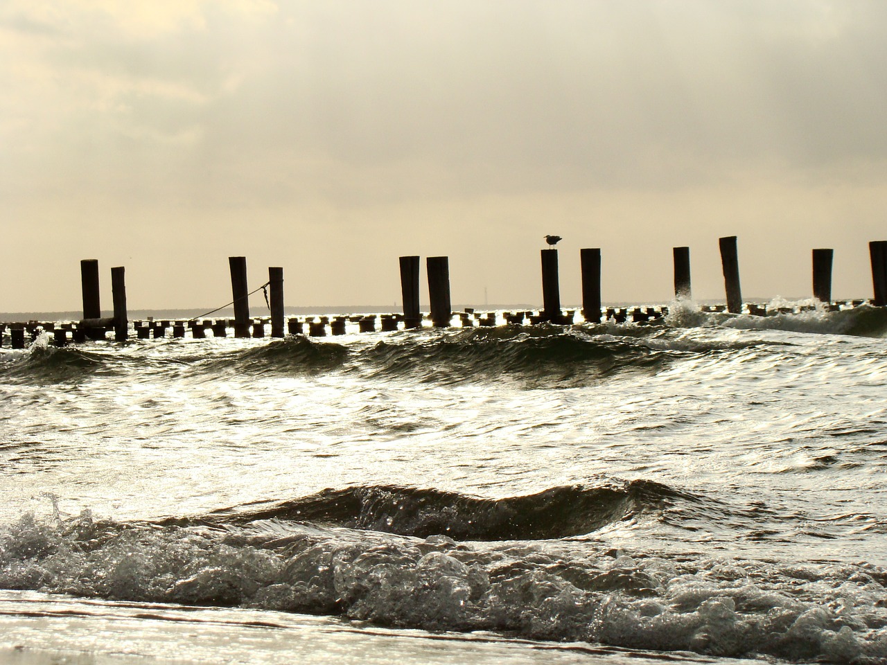 beach baltic sea sea free photo