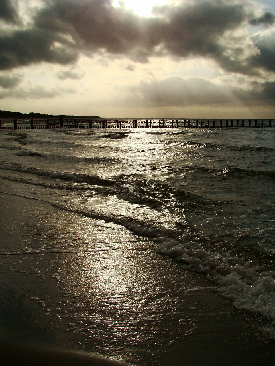 beach baltic sea sea free photo