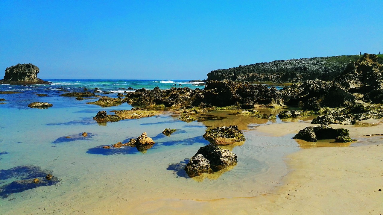 beach rocks water free photo