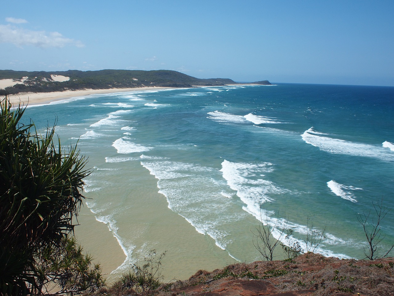 beach bay noosa free photo