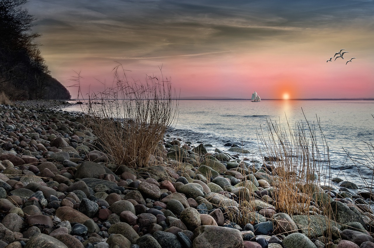 beach sea sunset free photo