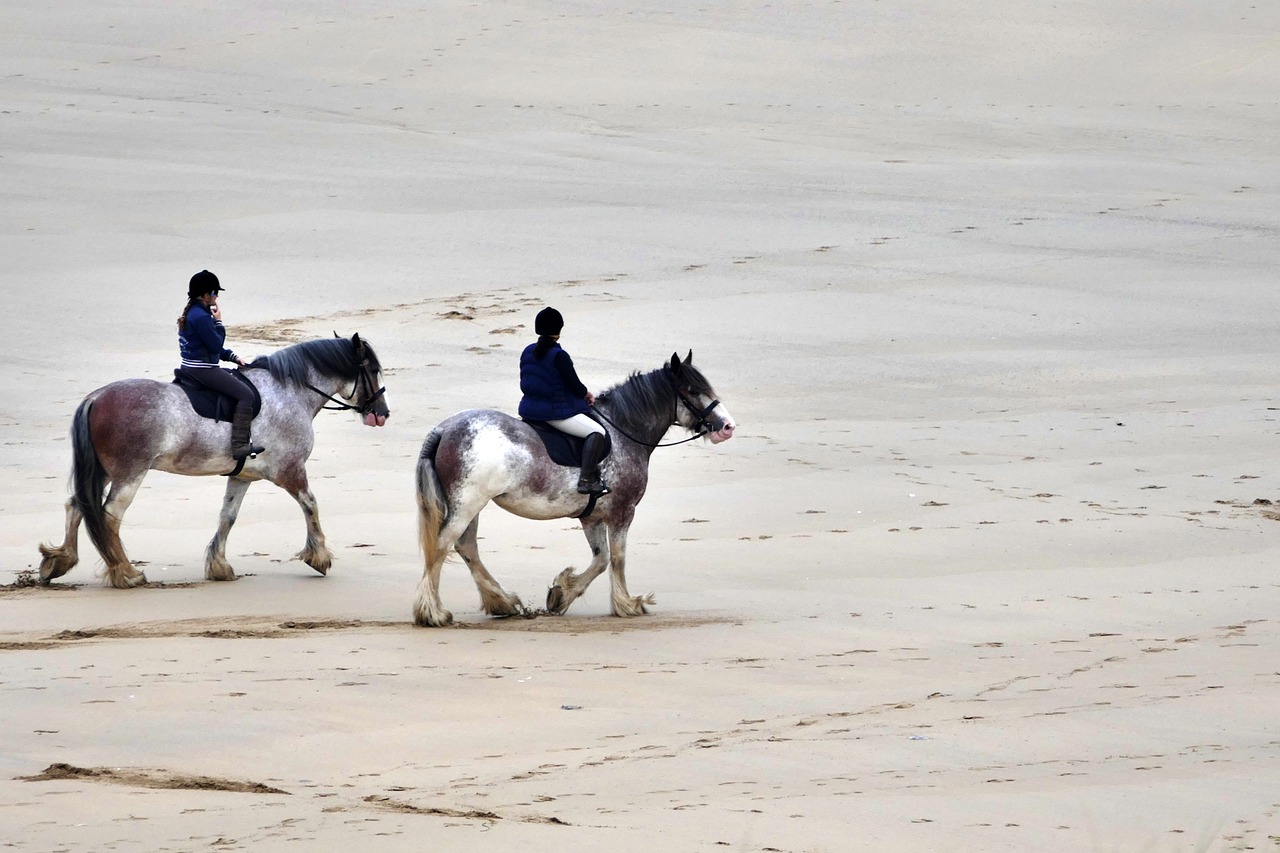 beach horses horse riding free photo