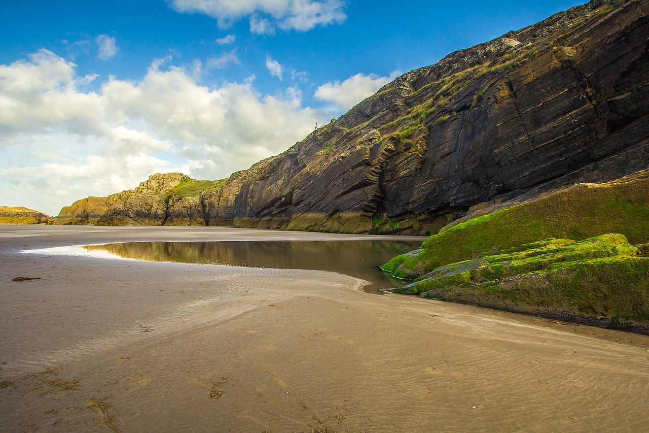 beach ocean low tide free photo