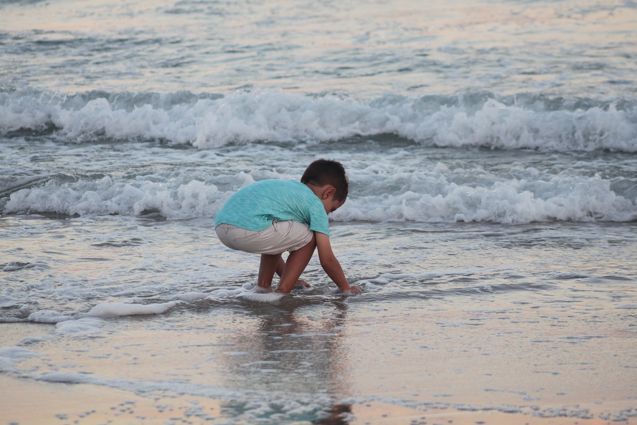 beach surf shore free photo