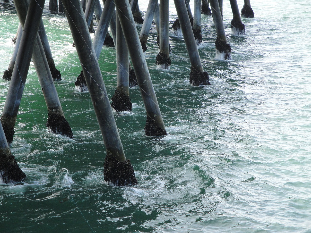 beach harbor redondo beach free photo