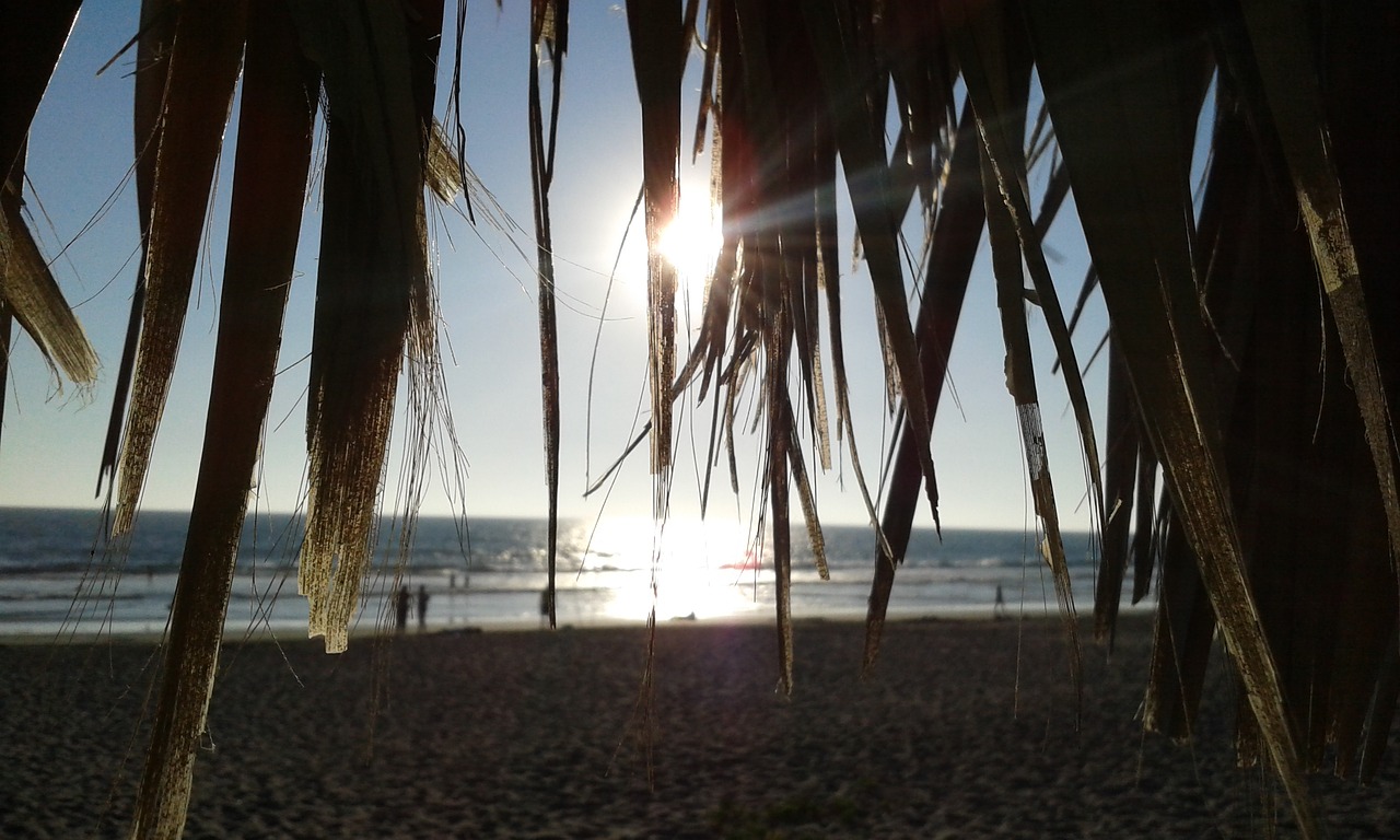 beach sunset sea free photo